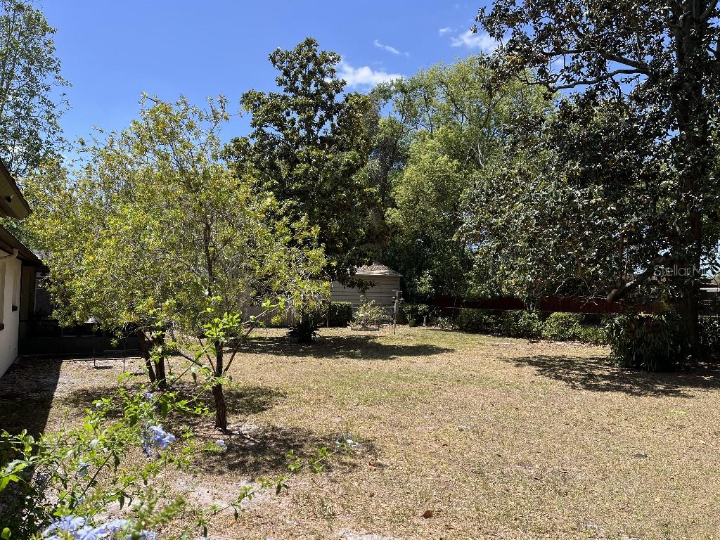 Image 6 of 17 For 1230 Jasmine Road