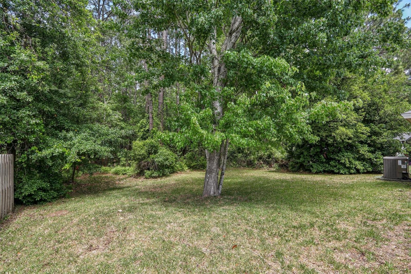 Image 39 of 43 For 4852 Bolles Lake Drive