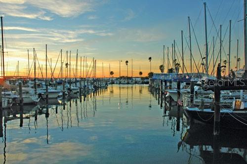 Image 32 of 35 For 2700 Bayshore Boulevard 511