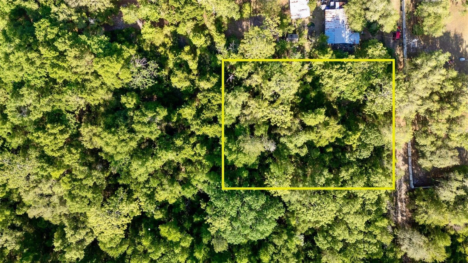 Details for 0 206 Street, FORT MC COY, FL 32134