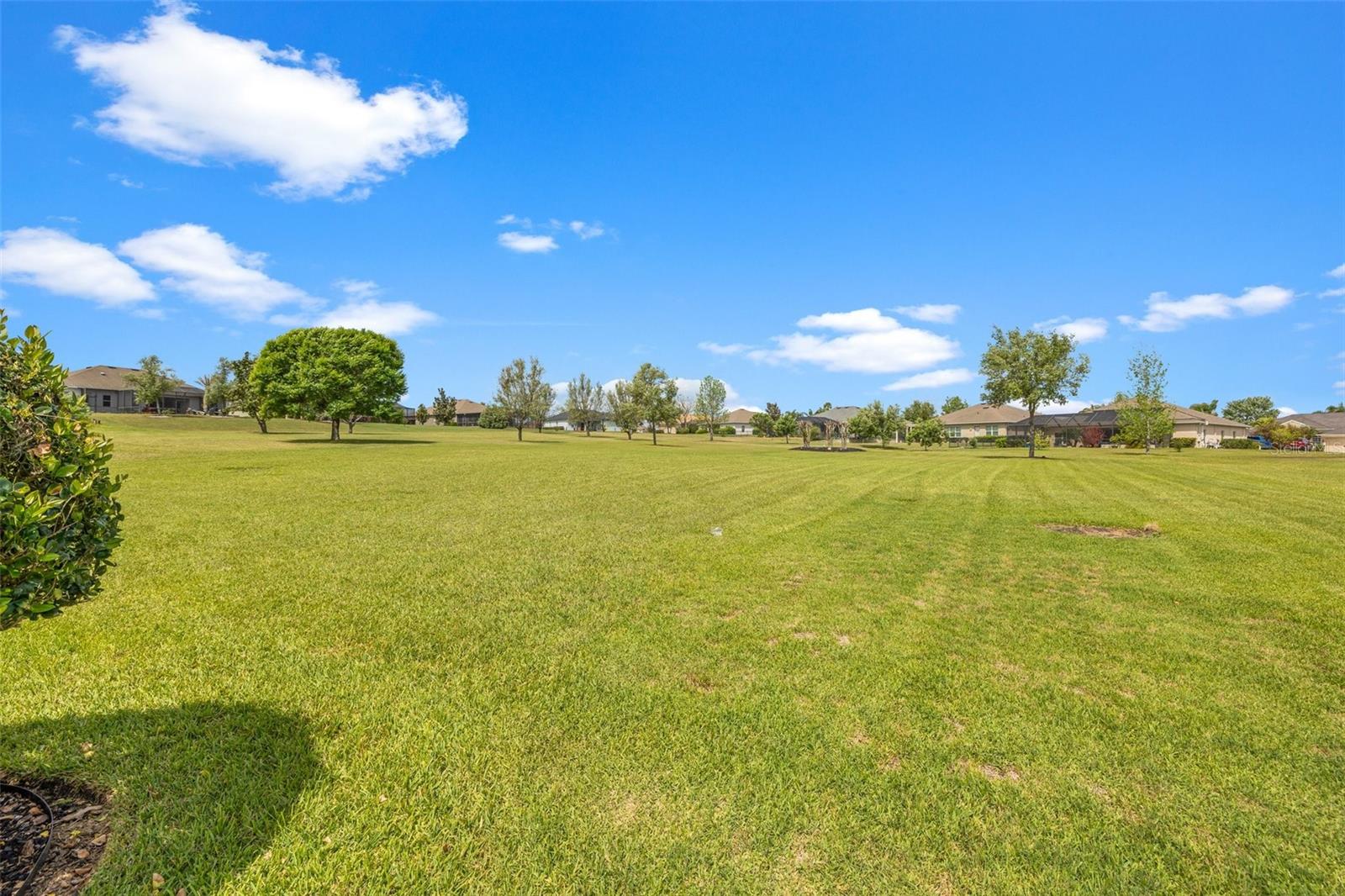 Image 37 of 40 For 13953 Thoroughbred Drive