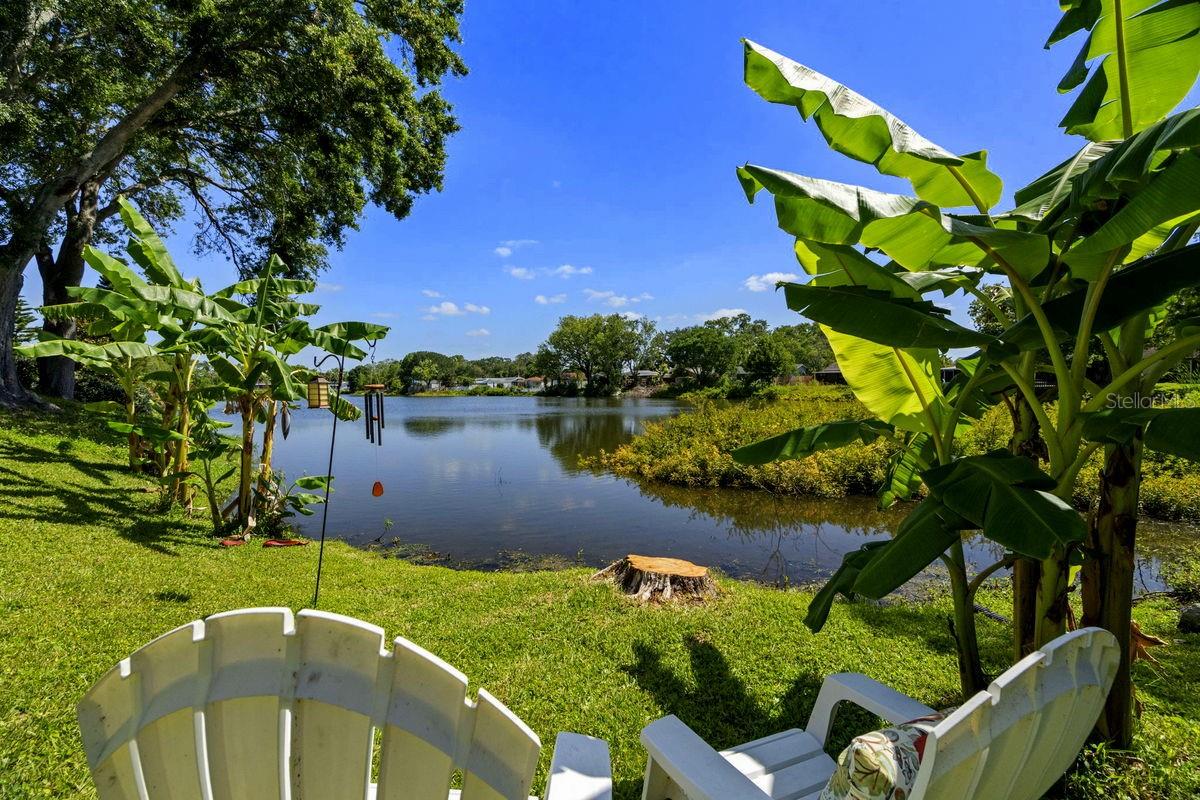 Details for 1393 Chesterfield Drive, DUNEDIN, FL 34698