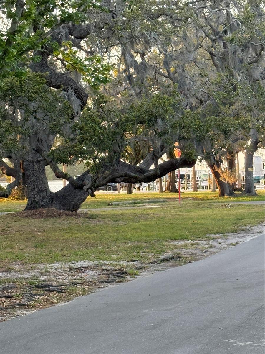 Image 4 of 5 For 284 North Street