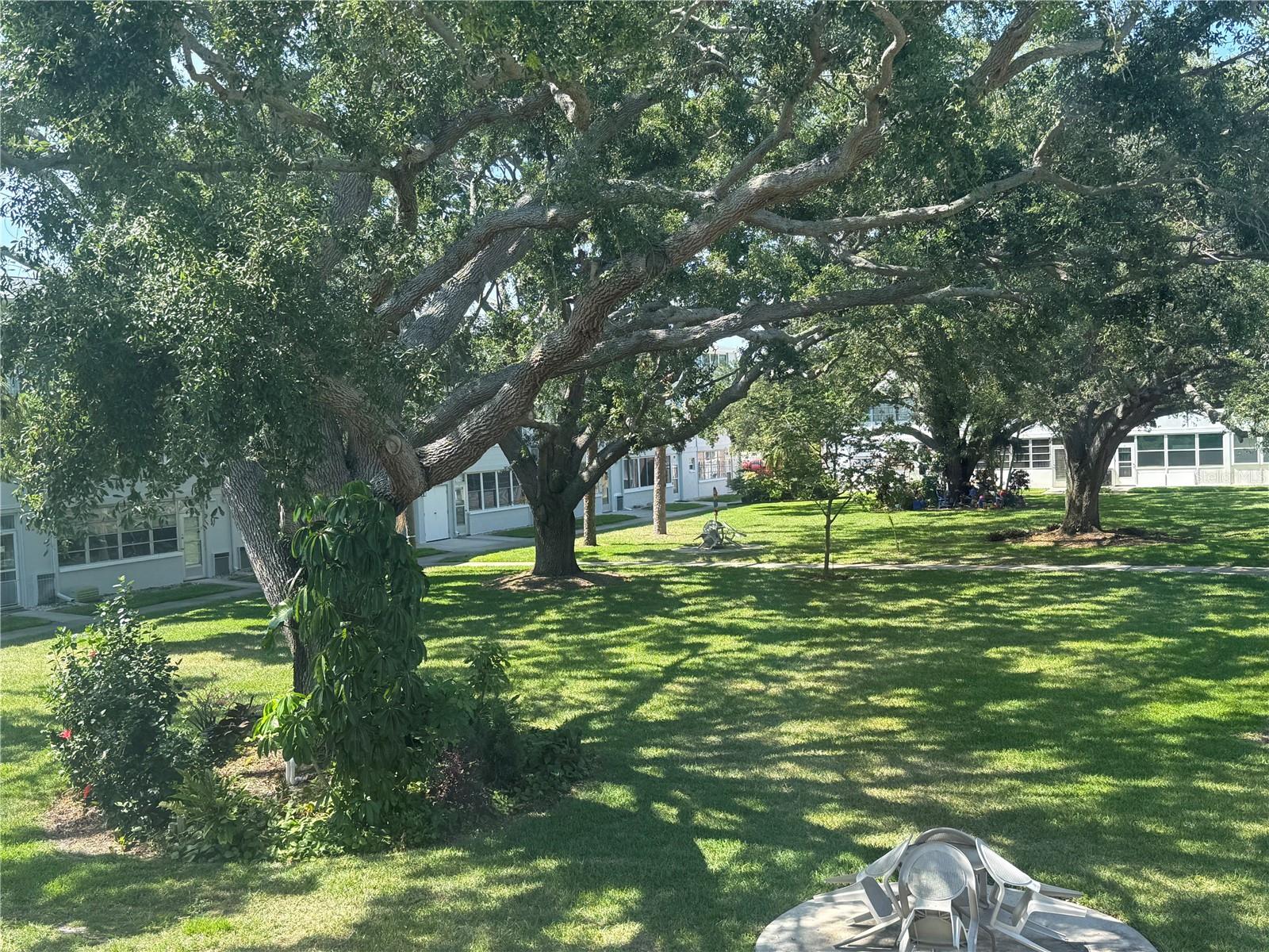 Image 20 of 35 For 1001 77th Avenue N 206