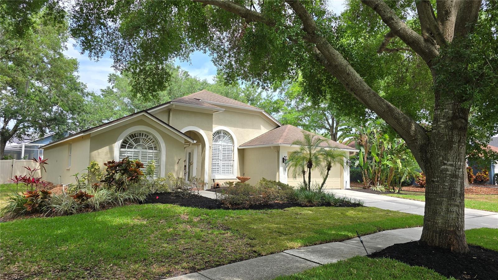 Details for 15209 Arbor Hollow Drive, ODESSA, FL 33556