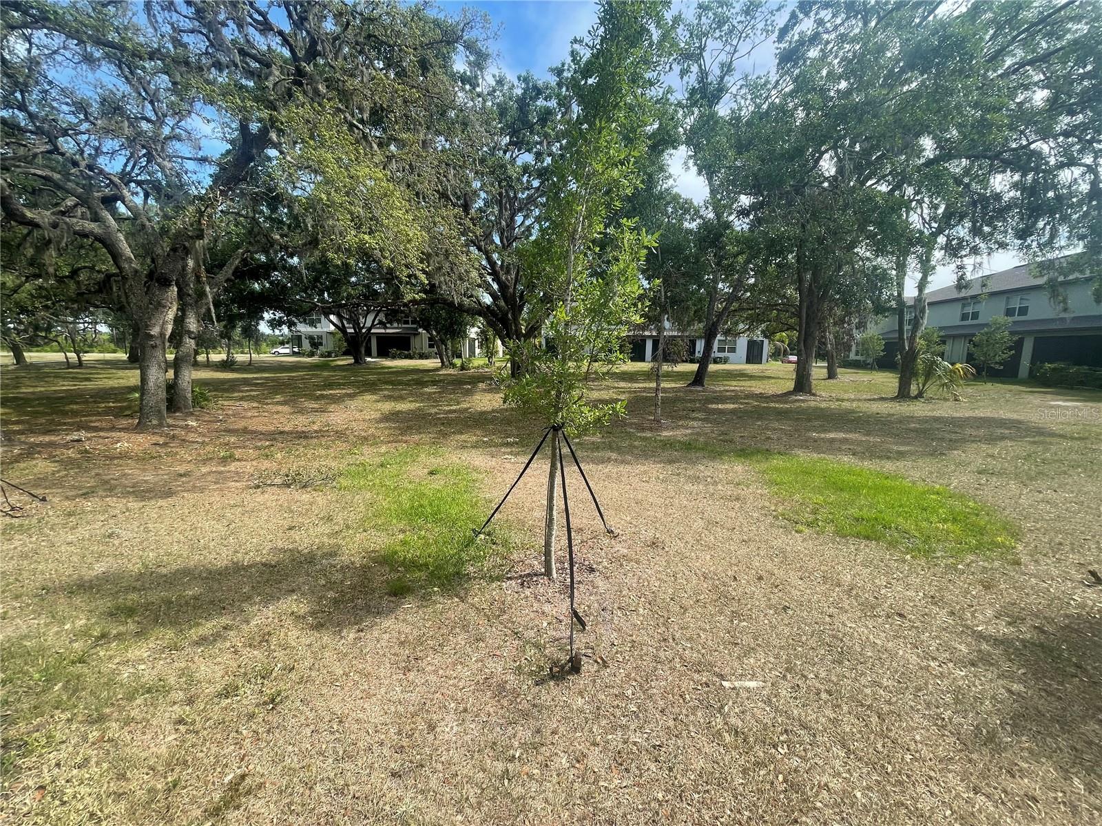 Image 19 of 31 For 30681 Veridian Way
