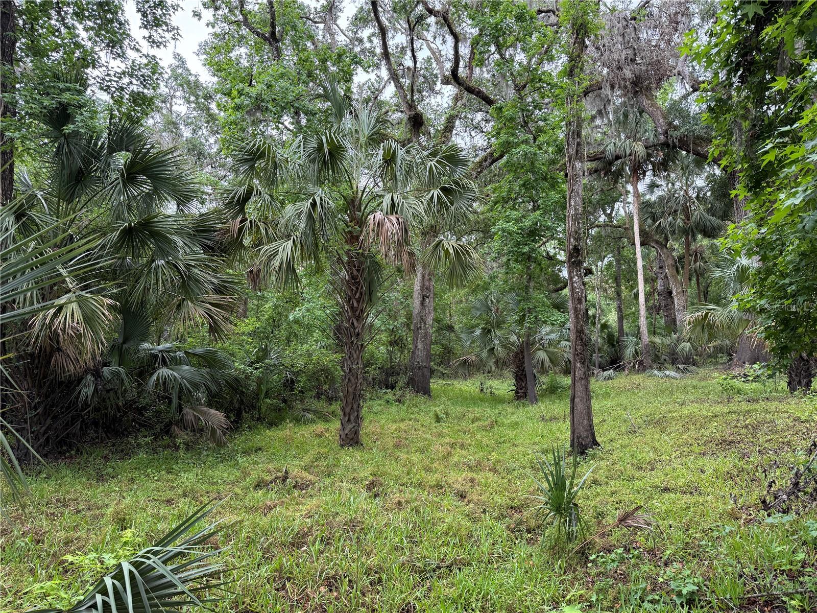 Details for Lot #2 Coconut Cove Place, VALRICO, FL 33596