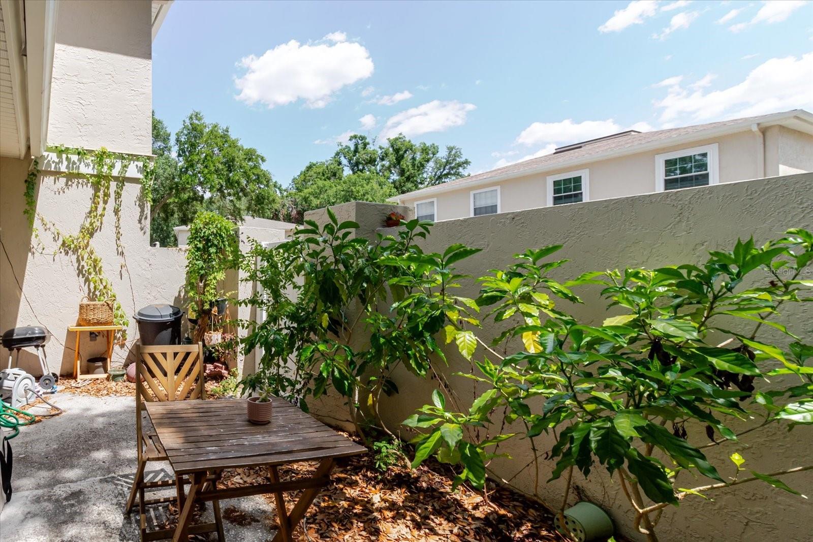 Listing photo id 49 for 11802 Foxrun Lane