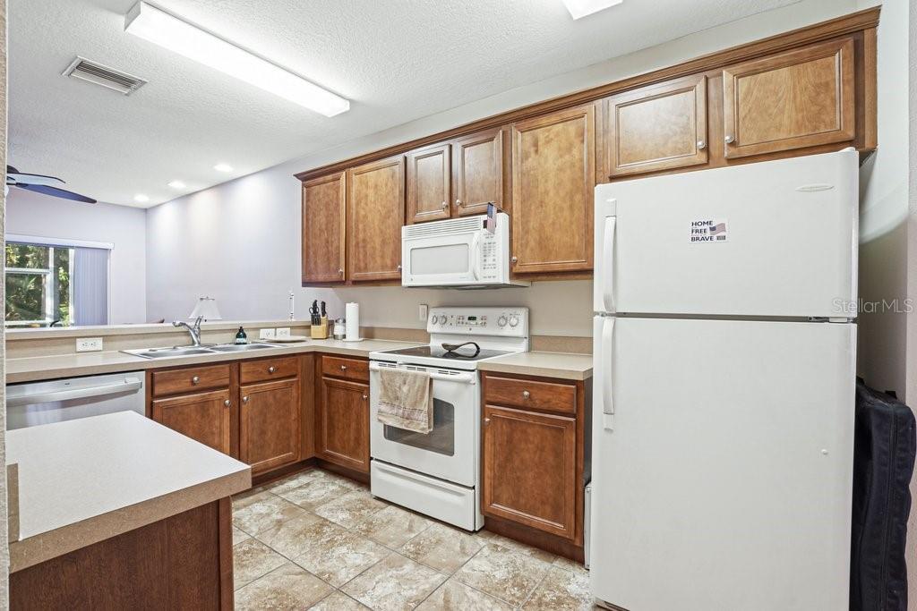Image 7 of 27 For 15908 Fishhawk Creek Lane