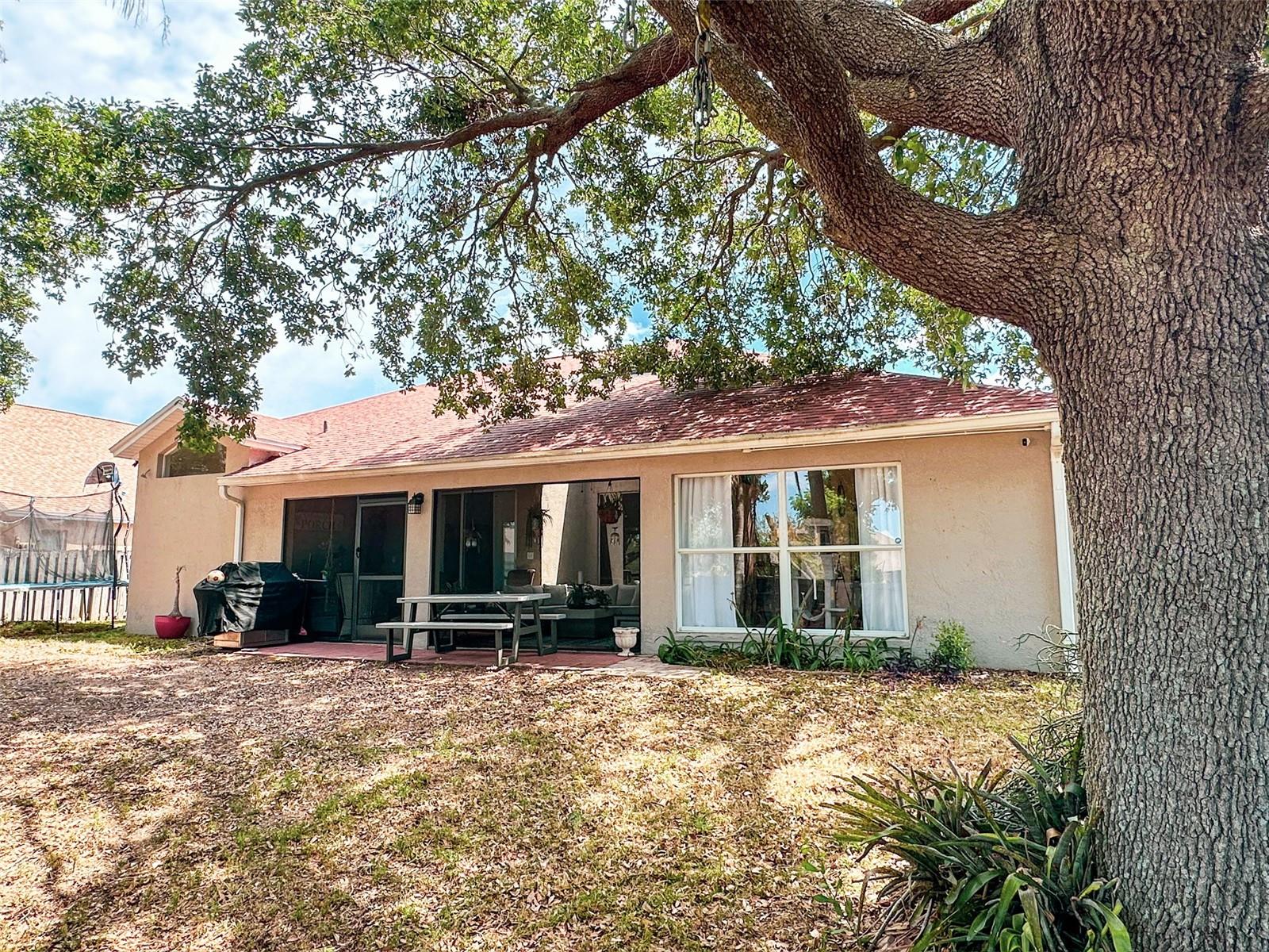 Image 21 of 21 For 923 Tuscanny Street