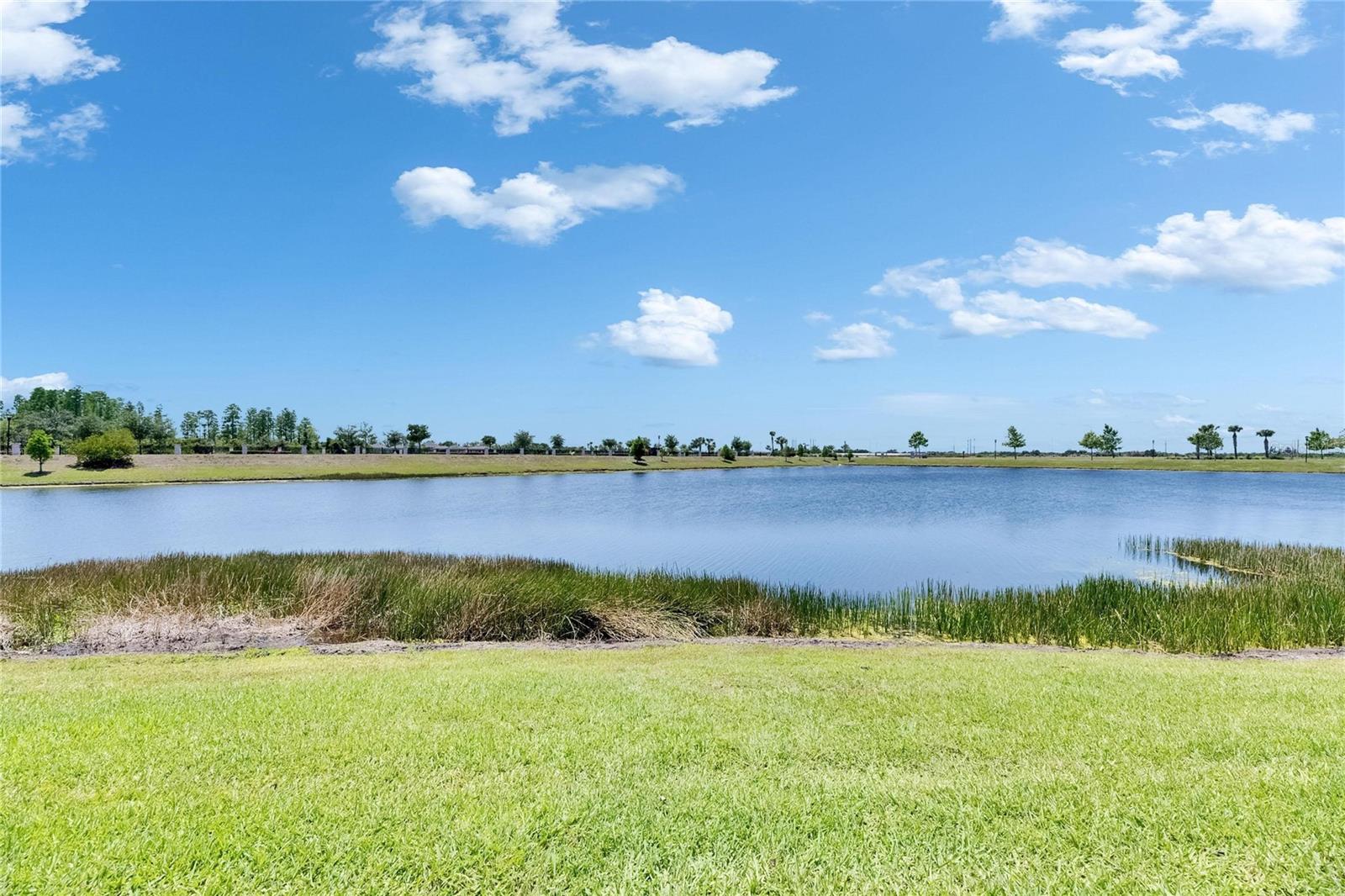 Image 74 of 100 For 5814 Silver Sun Drive