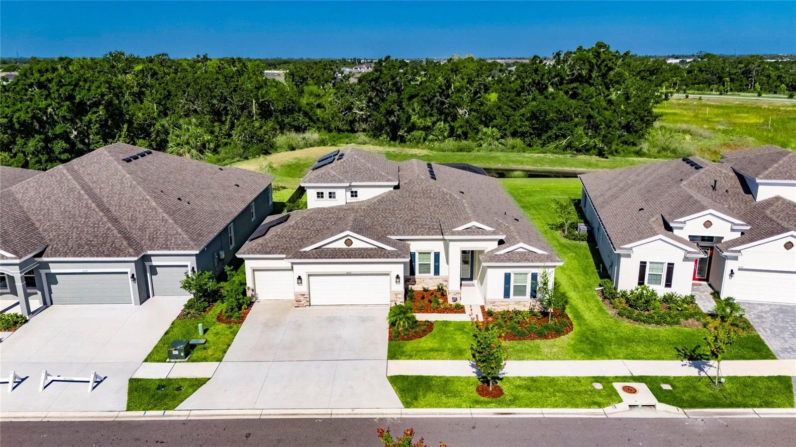 Details for 6253 Hidden Branch Drive, APOLLO BEACH, FL 33572
