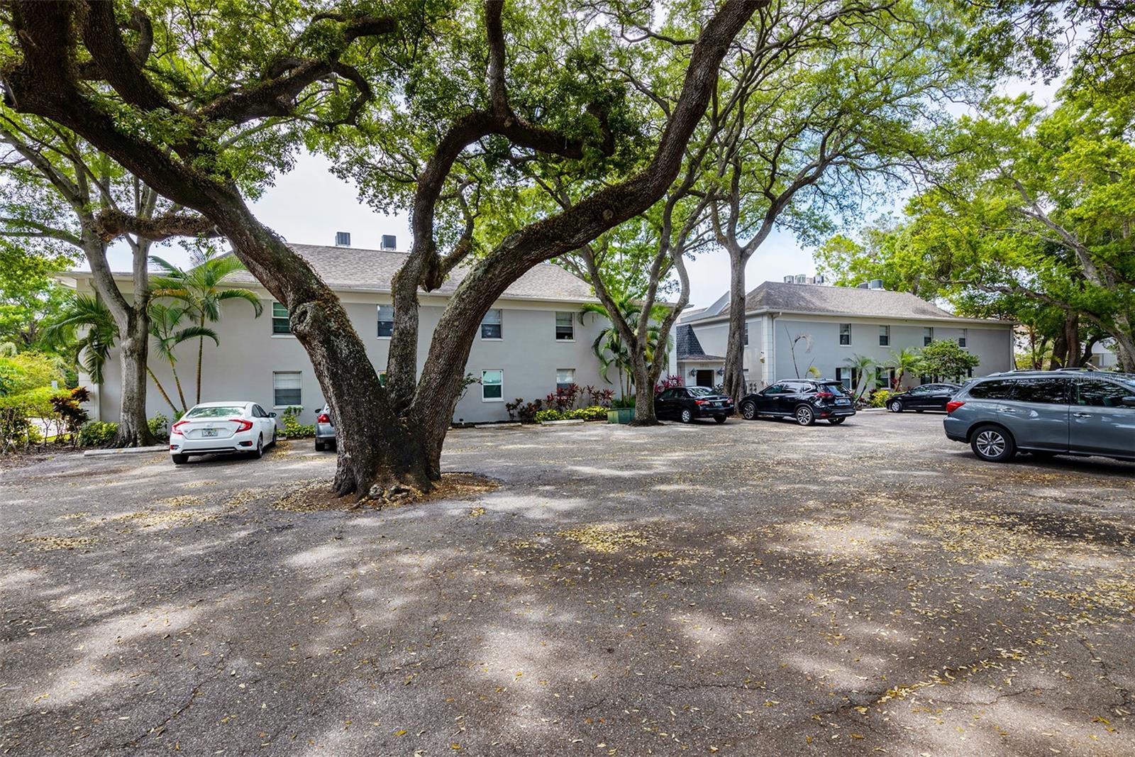 Image 3 of 32 For 5221 Bayshore Boulevard 11
