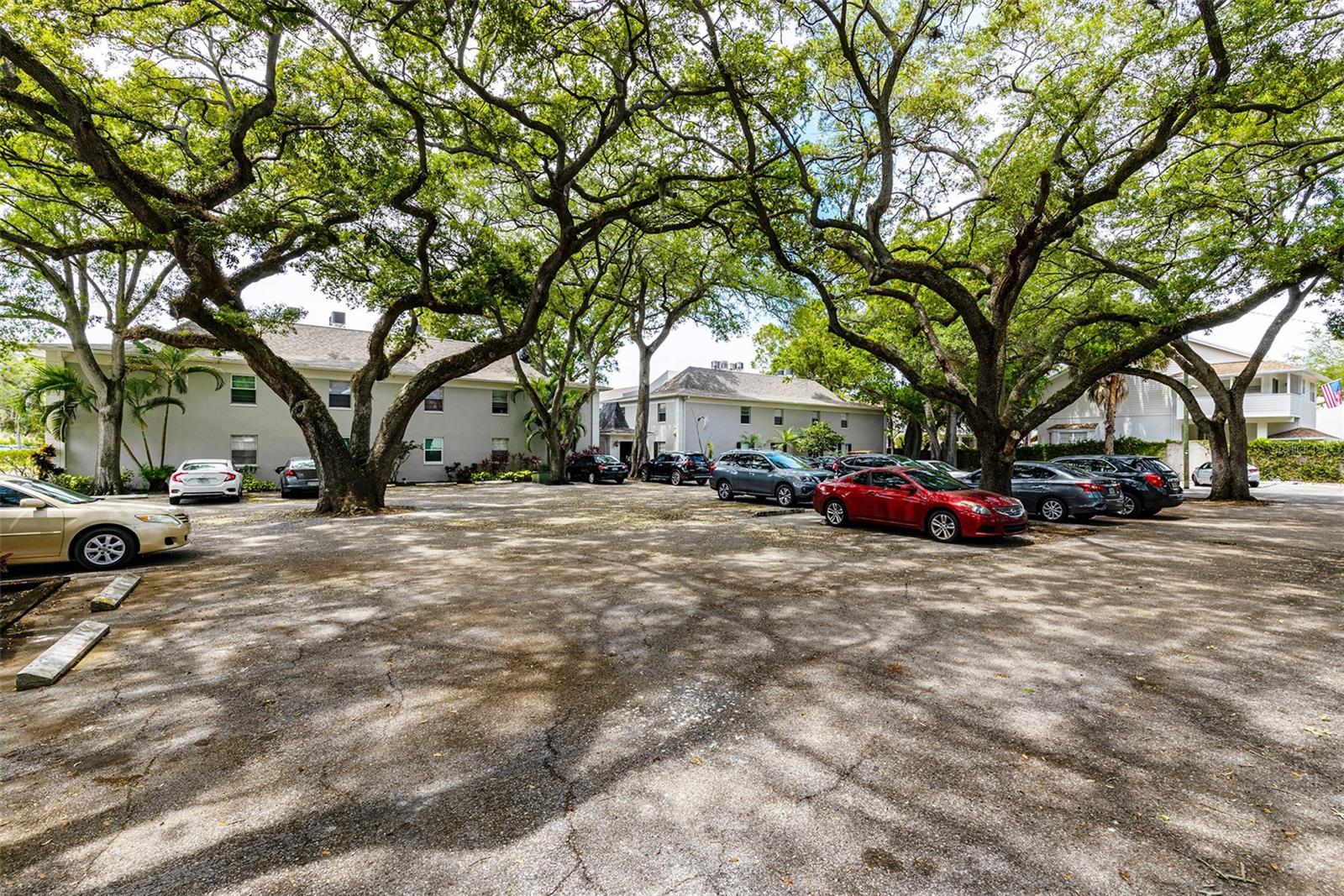 Image 5 of 32 For 5221 Bayshore Boulevard 11