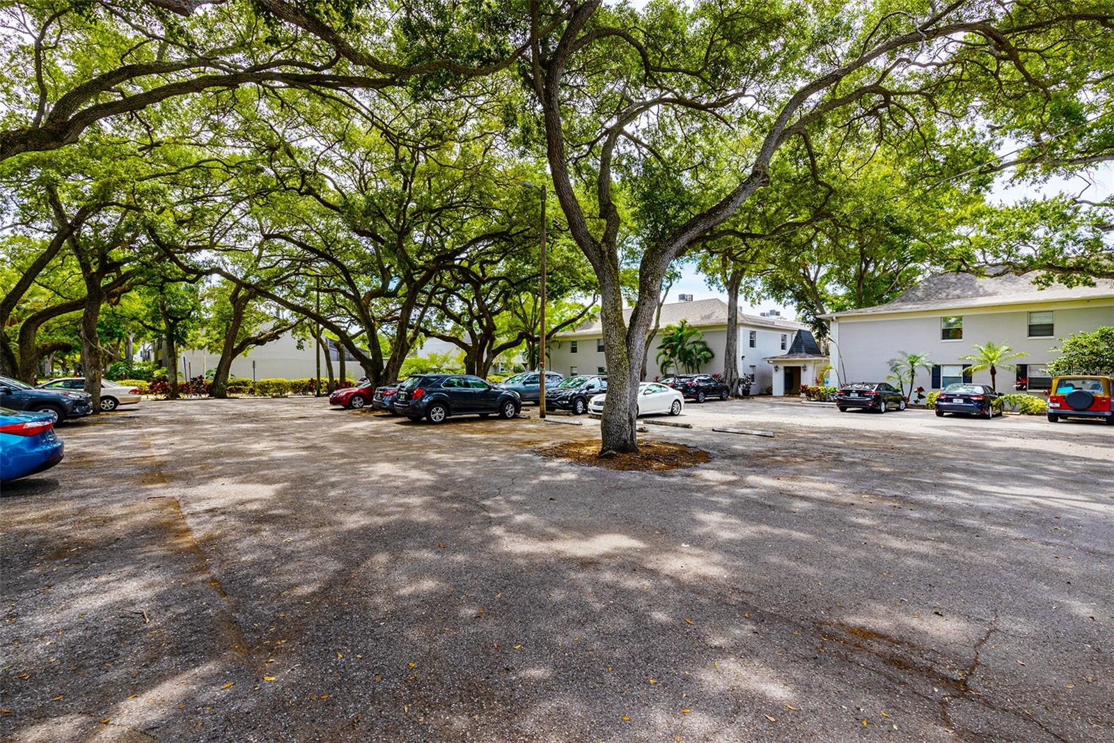 Image 6 of 32 For 5221 Bayshore Boulevard 11