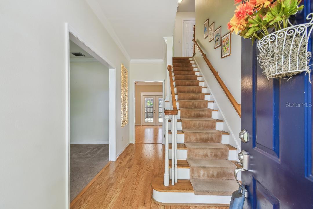 Image 9 of 35 For 3212 Villa Rosa Street