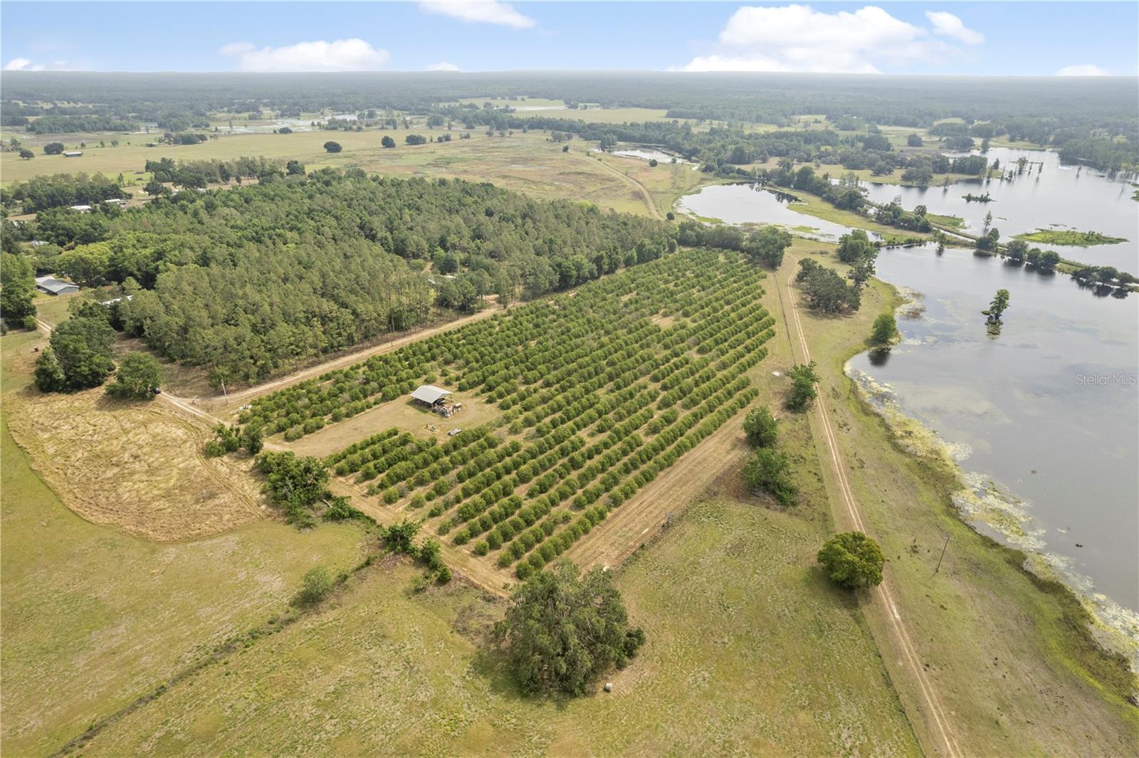 Image 9 of 34 For 0 Barry Rd  