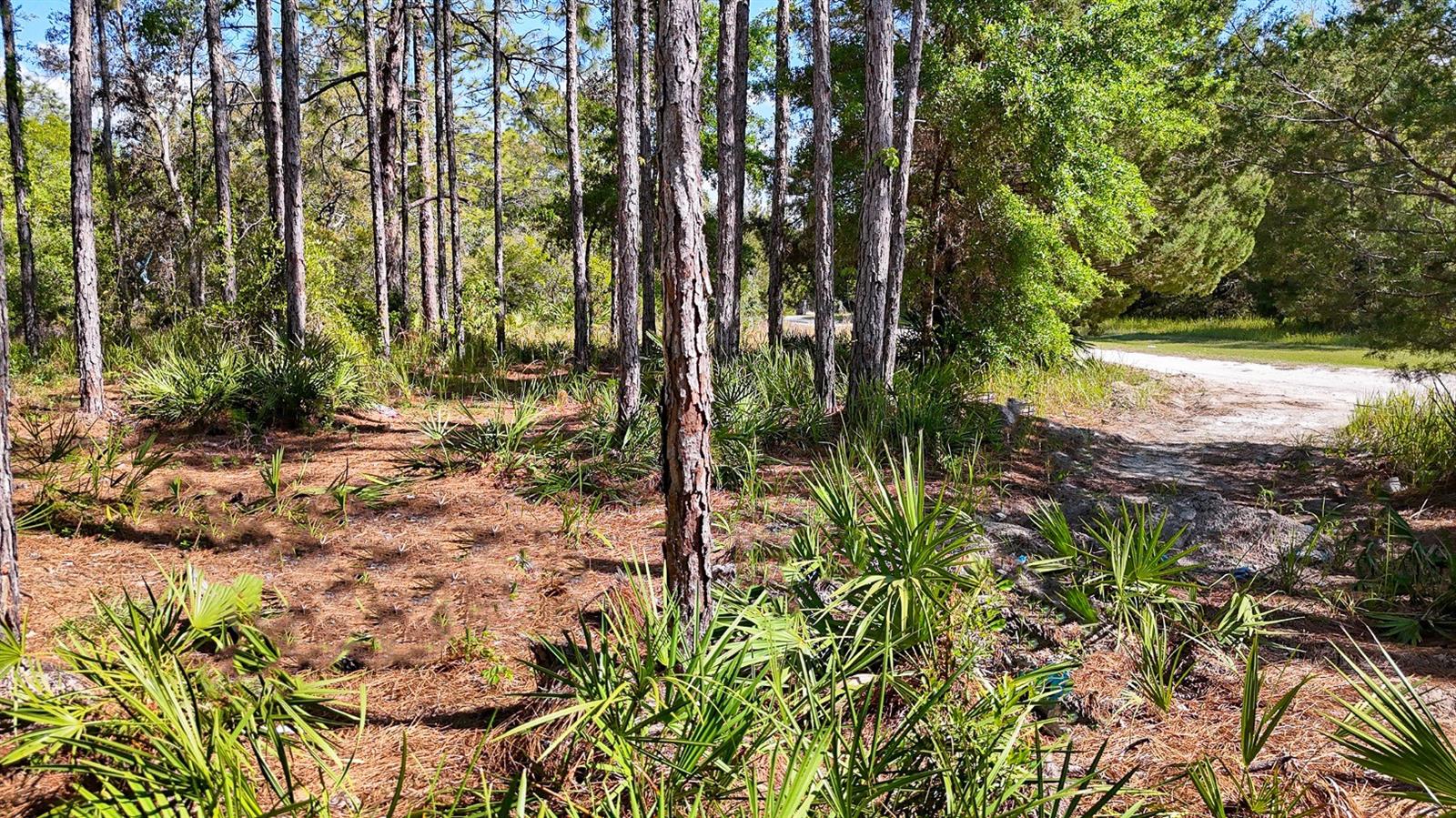 Image 14 of 29 For 5631 Atlantis Way