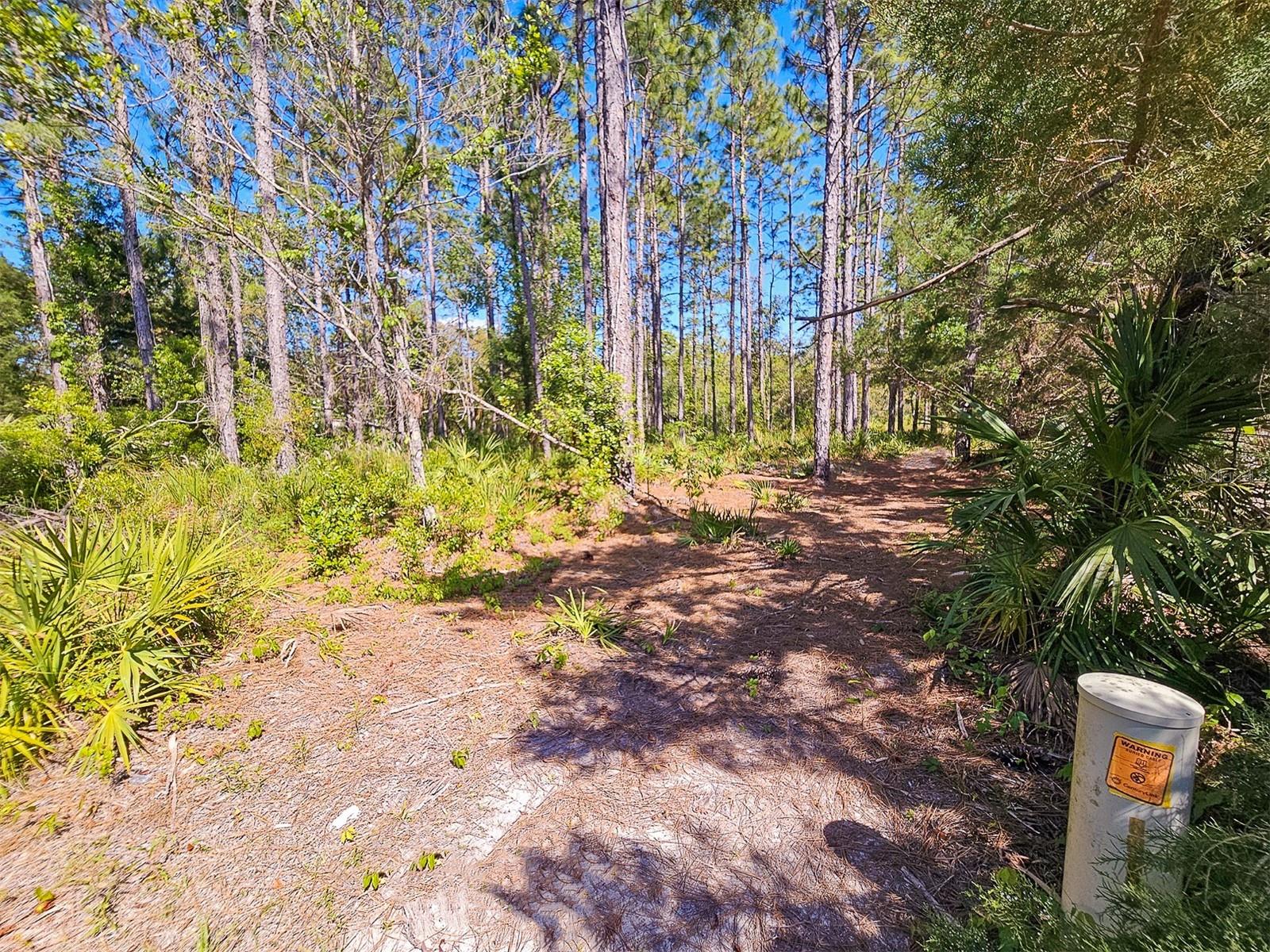 Image 15 of 29 For 5631 Atlantis Way