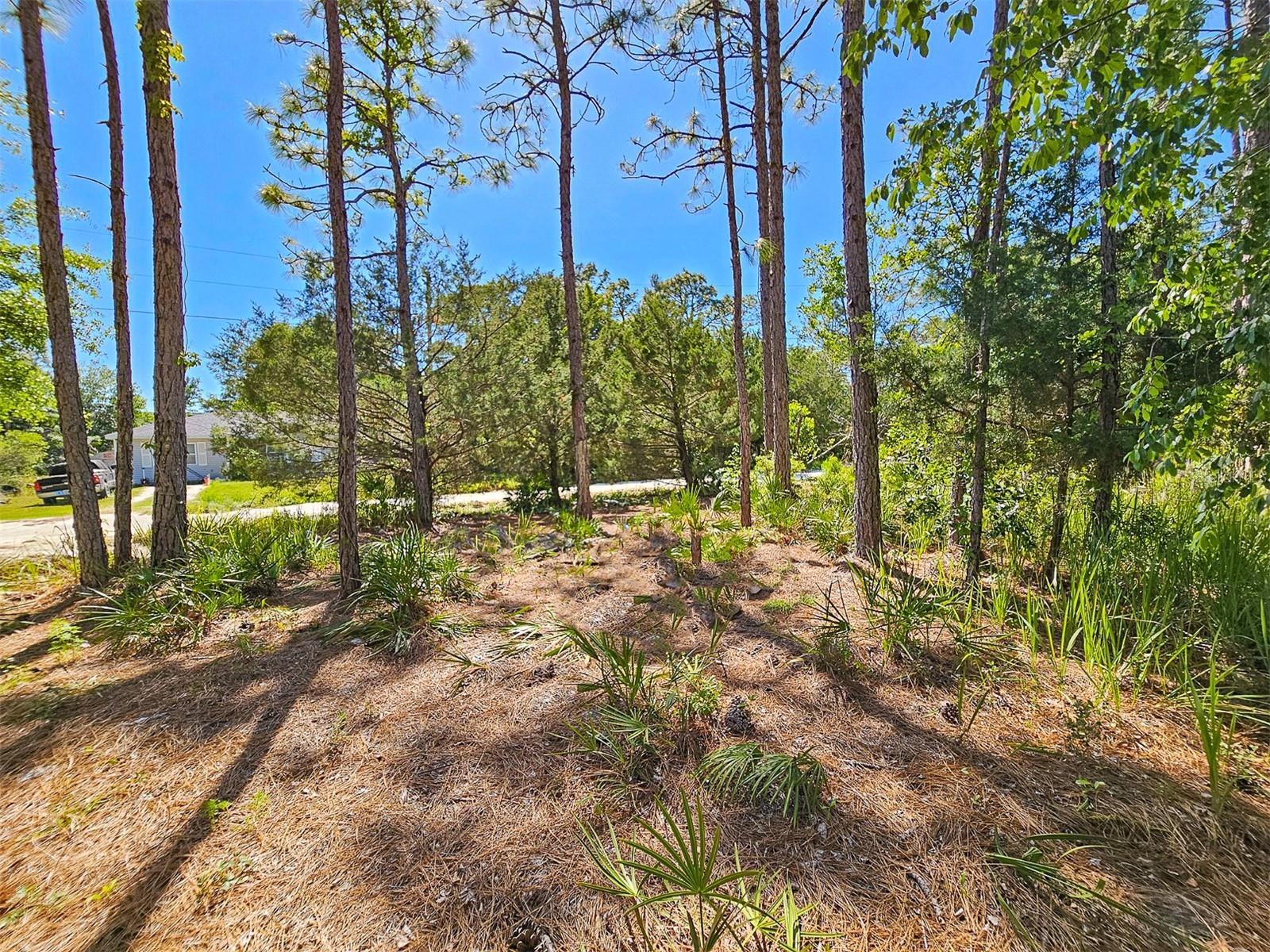 Image 20 of 29 For 5631 Atlantis Way