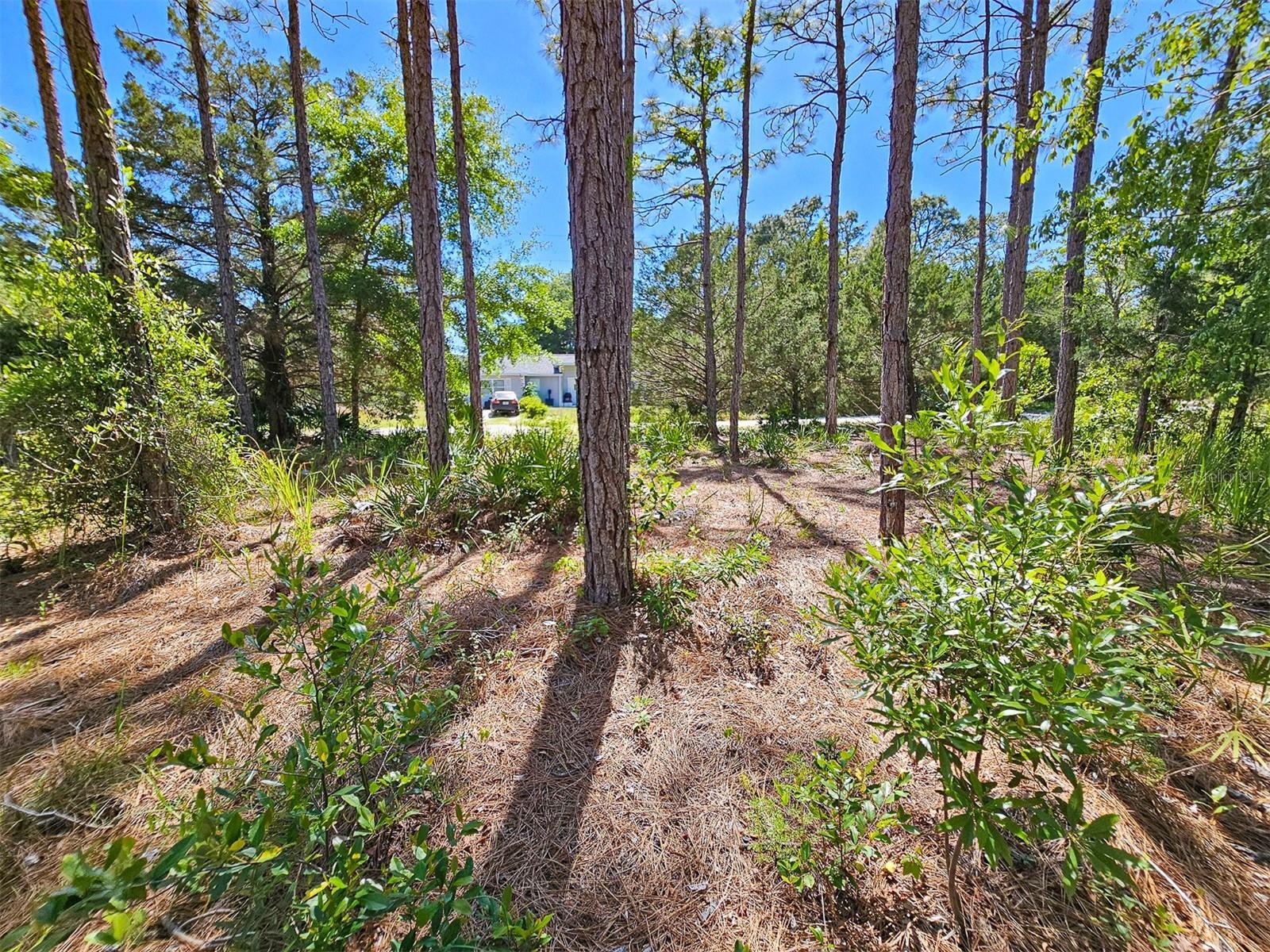 Image 21 of 29 For 5631 Atlantis Way