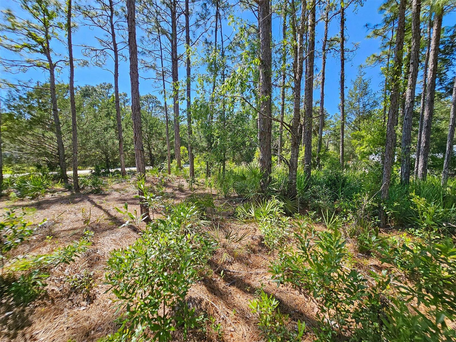 Image 22 of 29 For 5631 Atlantis Way