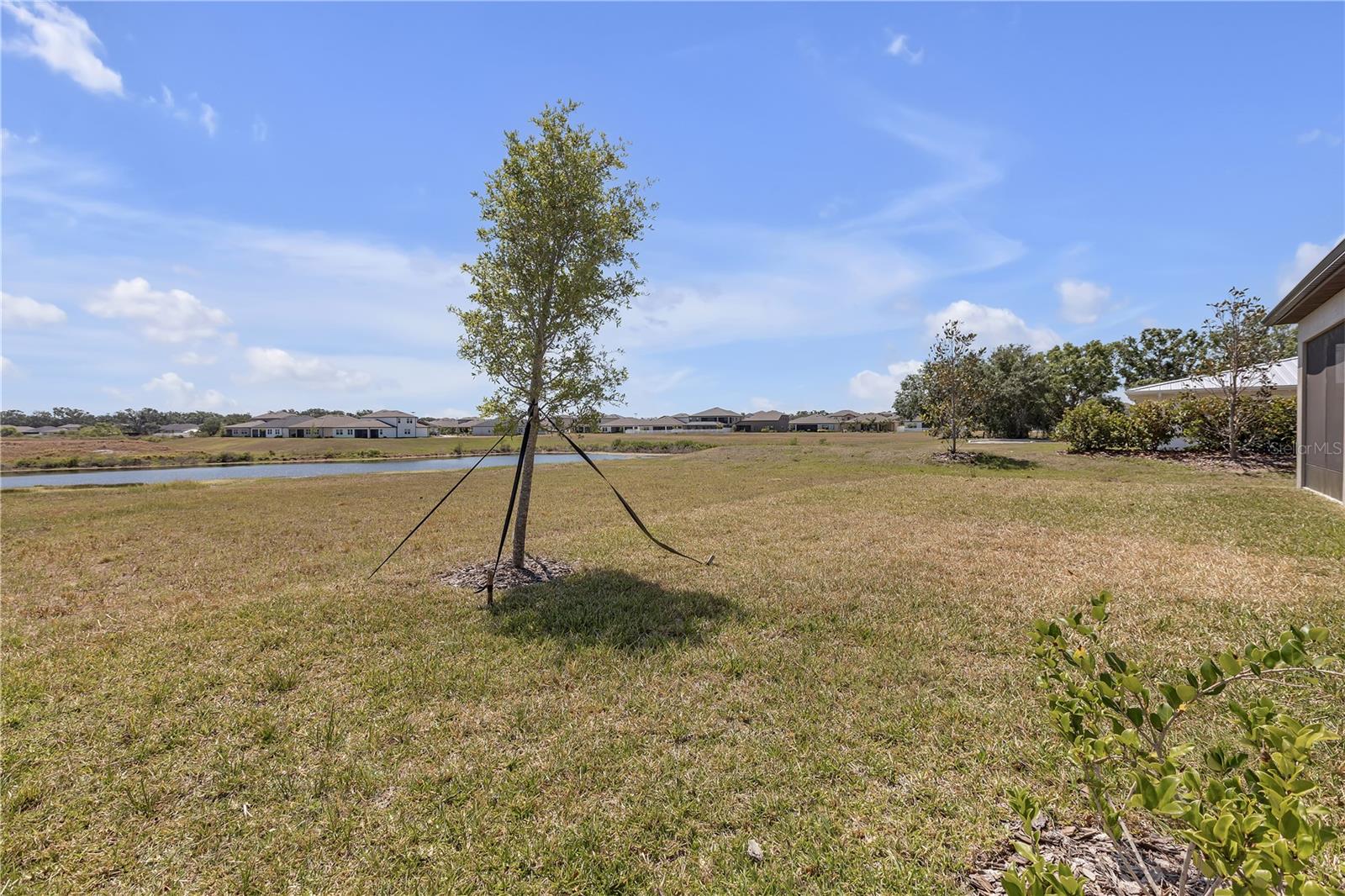Listing photo id 47 for 12572 Bergstrom Bay Drive
