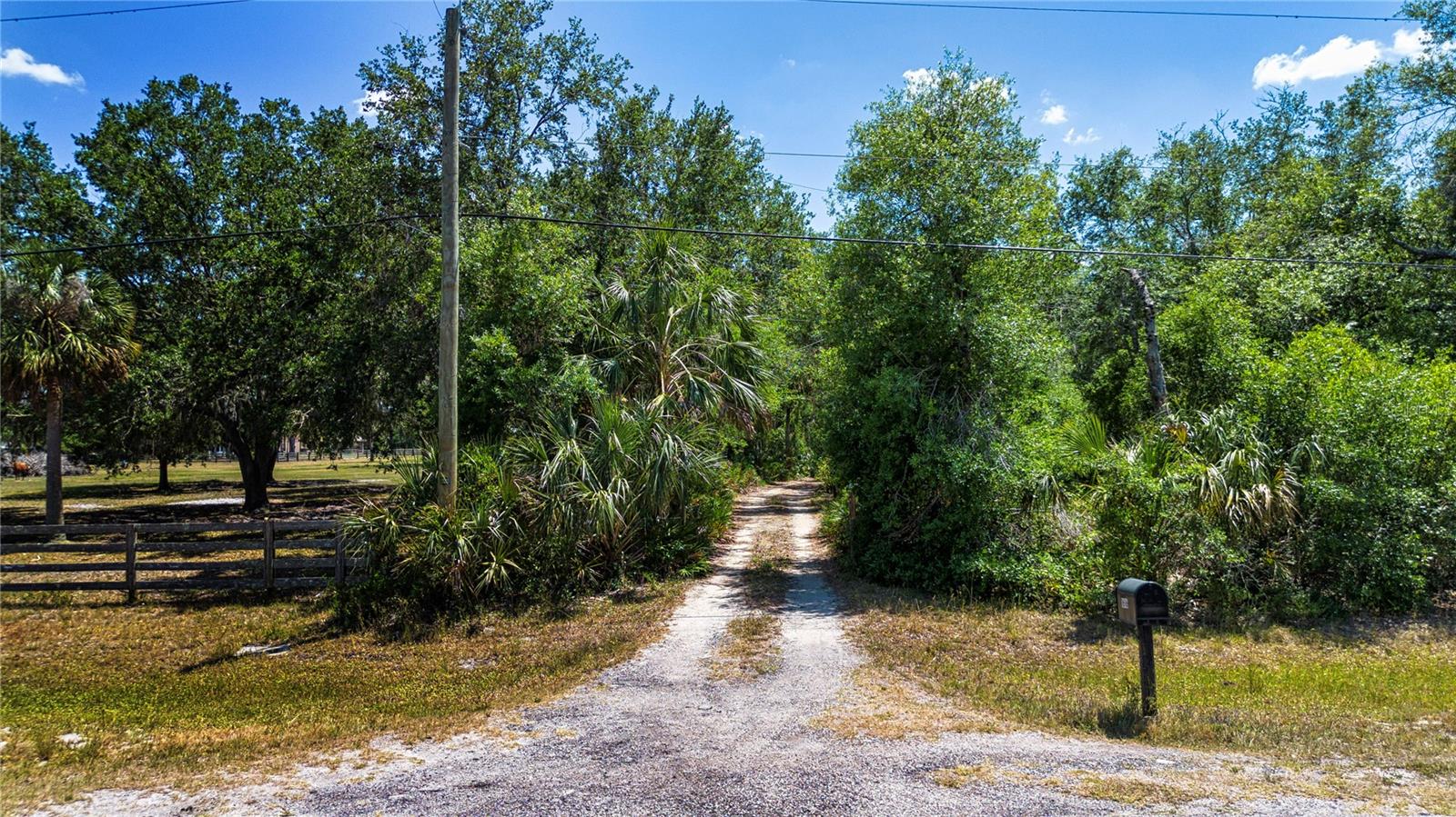 Listing photo id 1 for 1616 Lightfoot Road