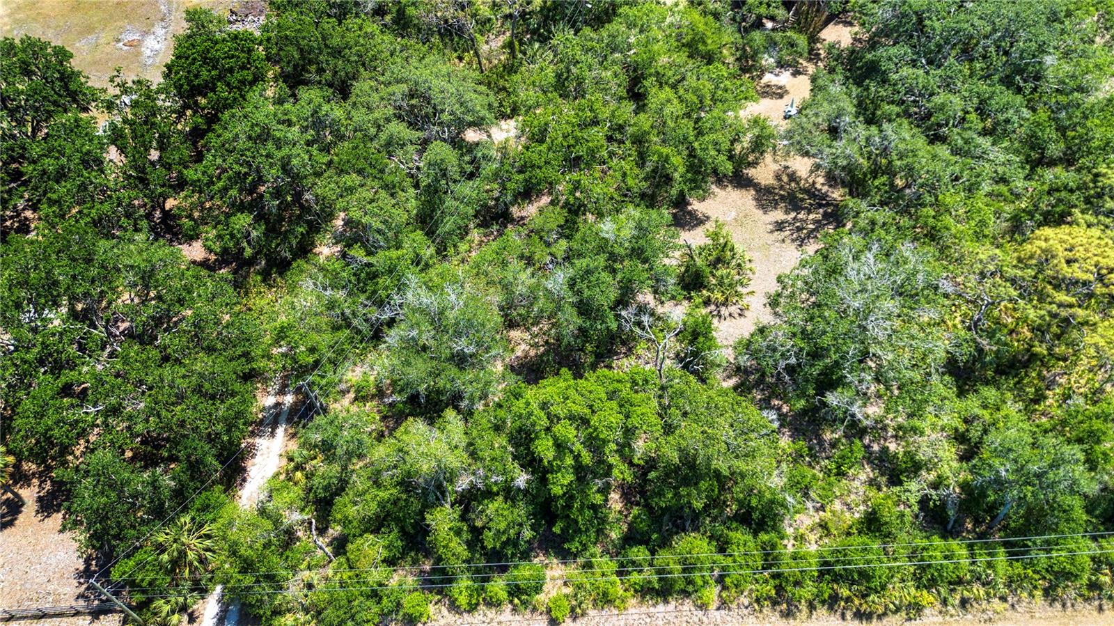 Listing photo id 3 for 1616 Lightfoot Road