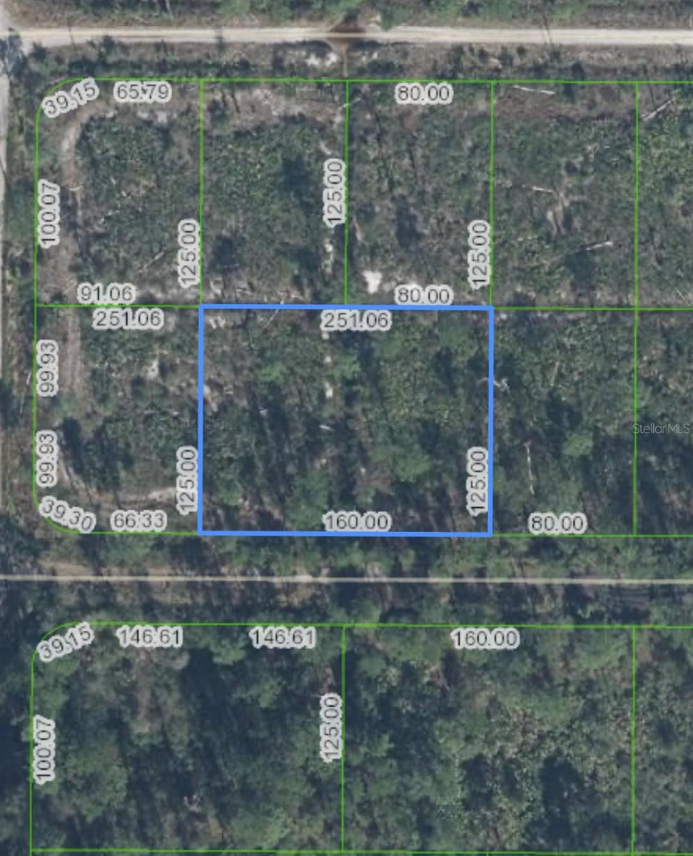Details for Parrot Avenue, SEBRING, FL 33870