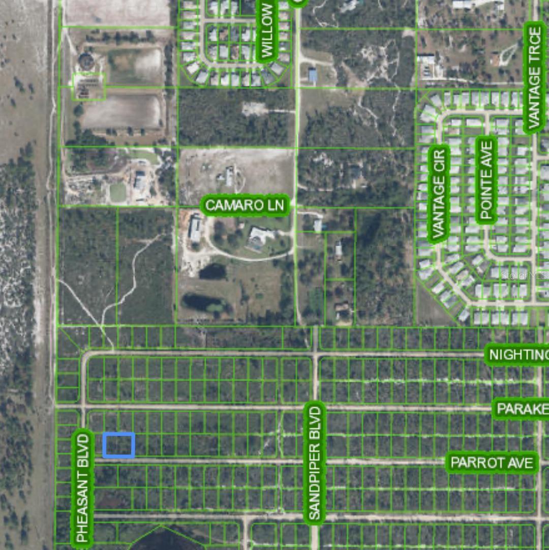 Image 2 of 2 For Parrot Avenue
