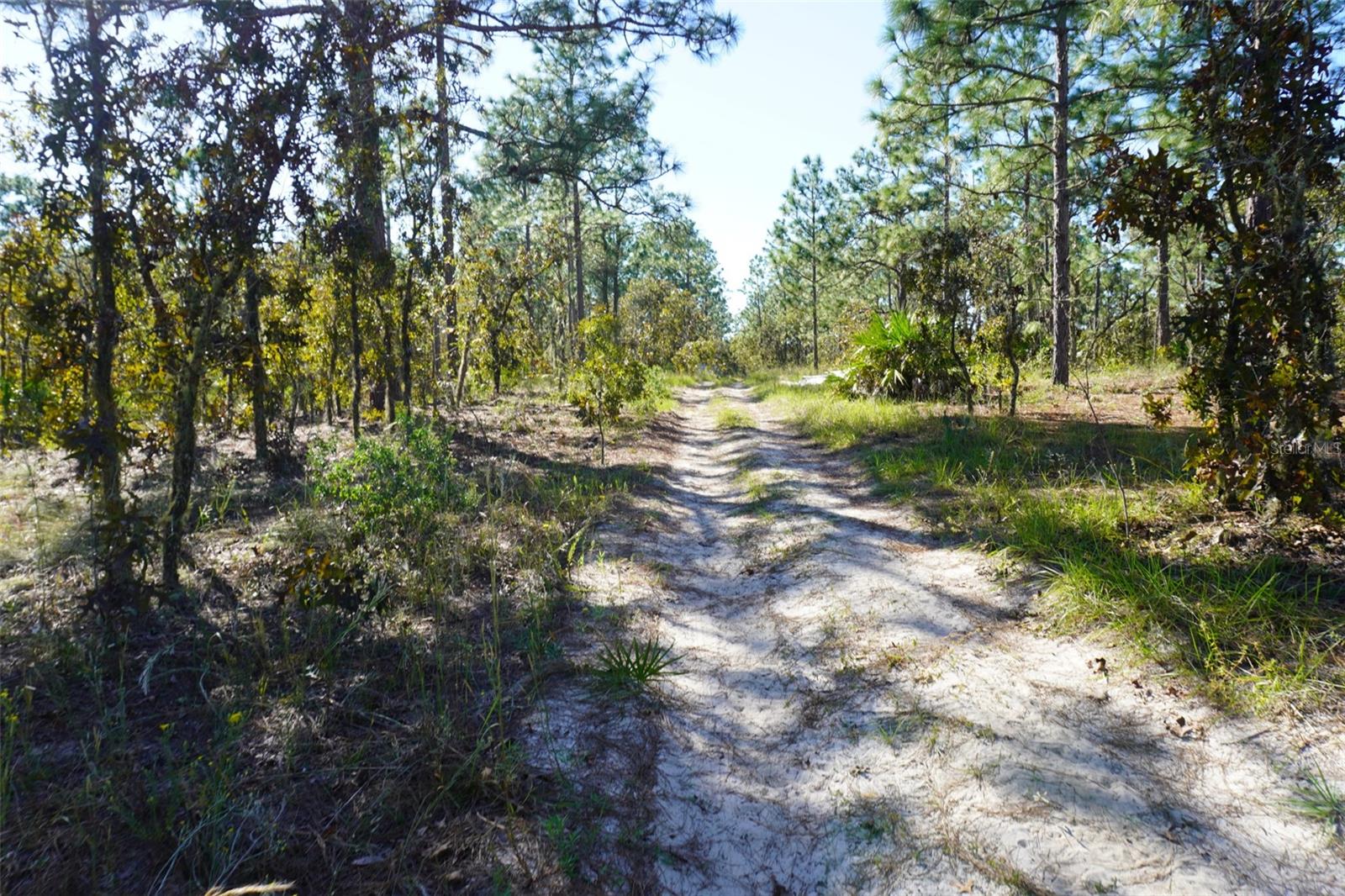 Image 4 of 12 For 0 103rd Lane