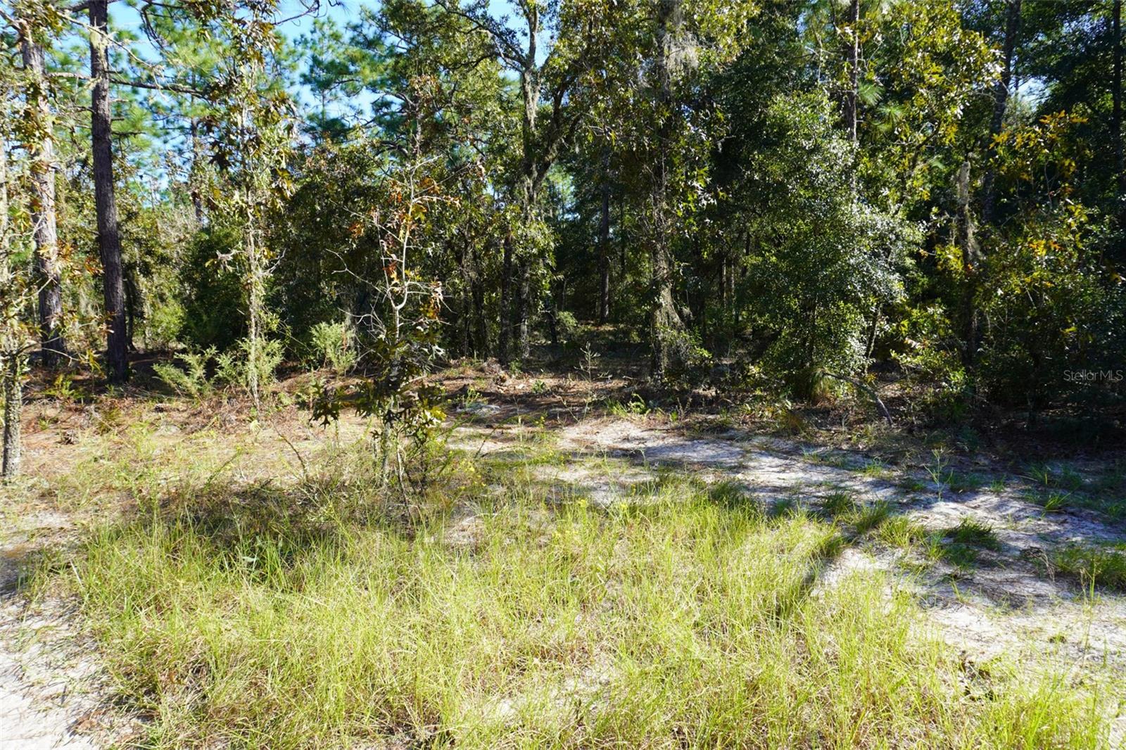 Image 5 of 12 For 0 103rd Lane