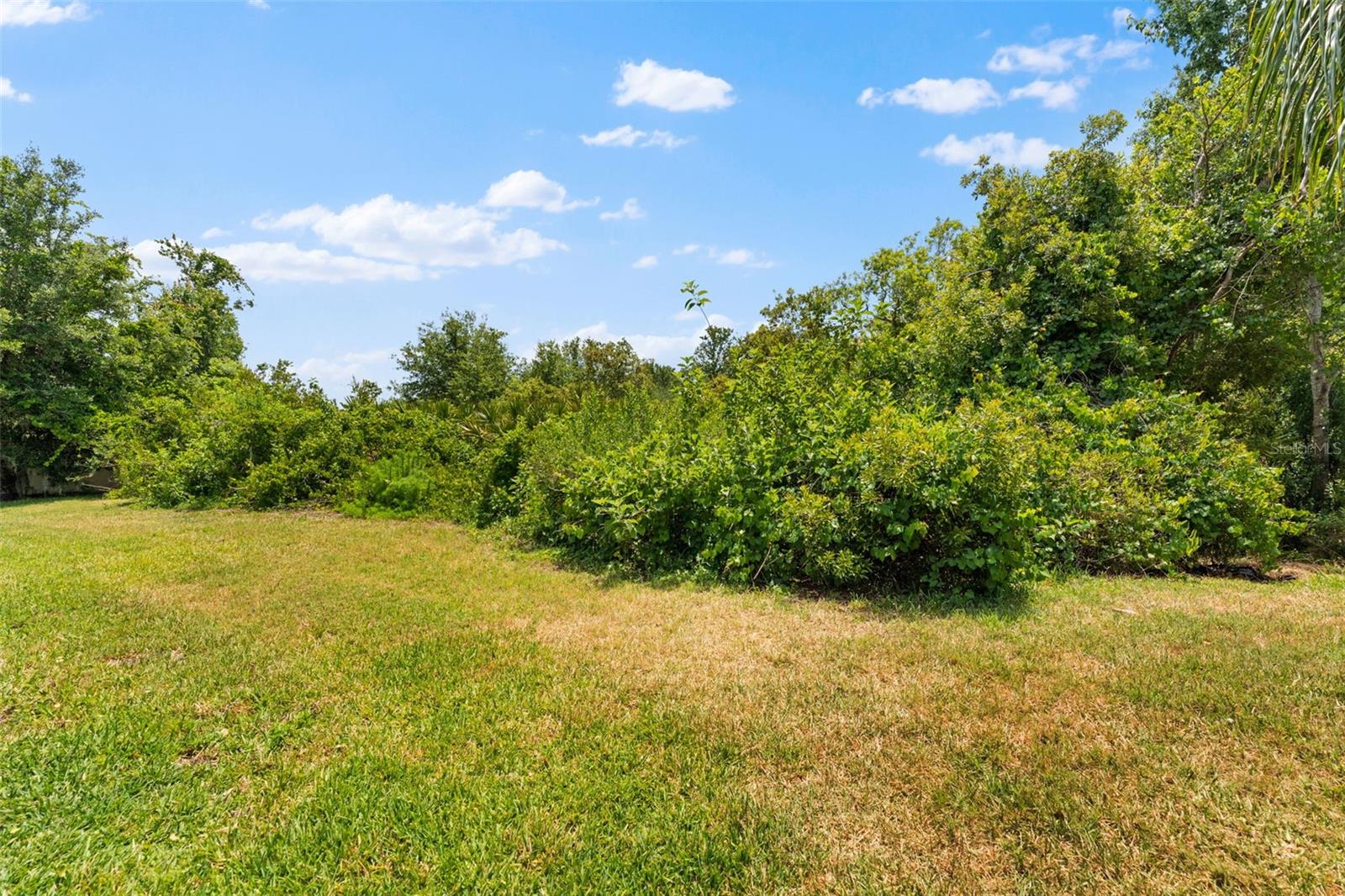 Image 48 of 49 For 10511 Mistflower Lane
