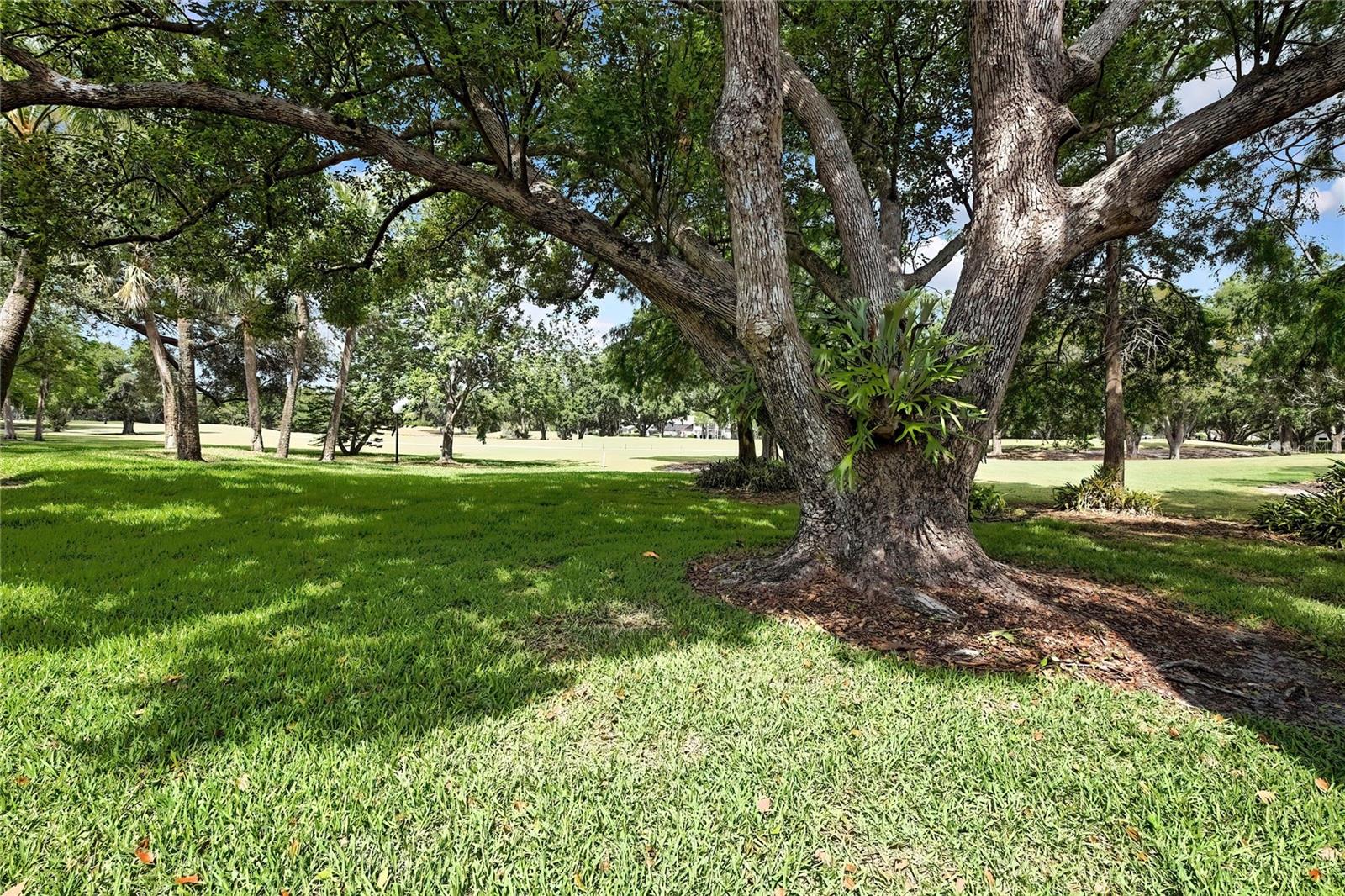 Image 40 of 54 For 4175 Northmeadow Circle 4175