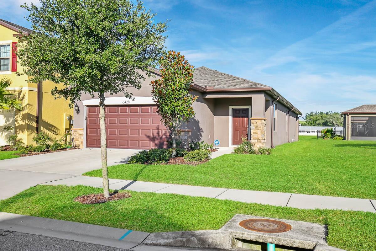 Details for 6428 Yellow Buckeye Drive, RIVERVIEW, FL 33578