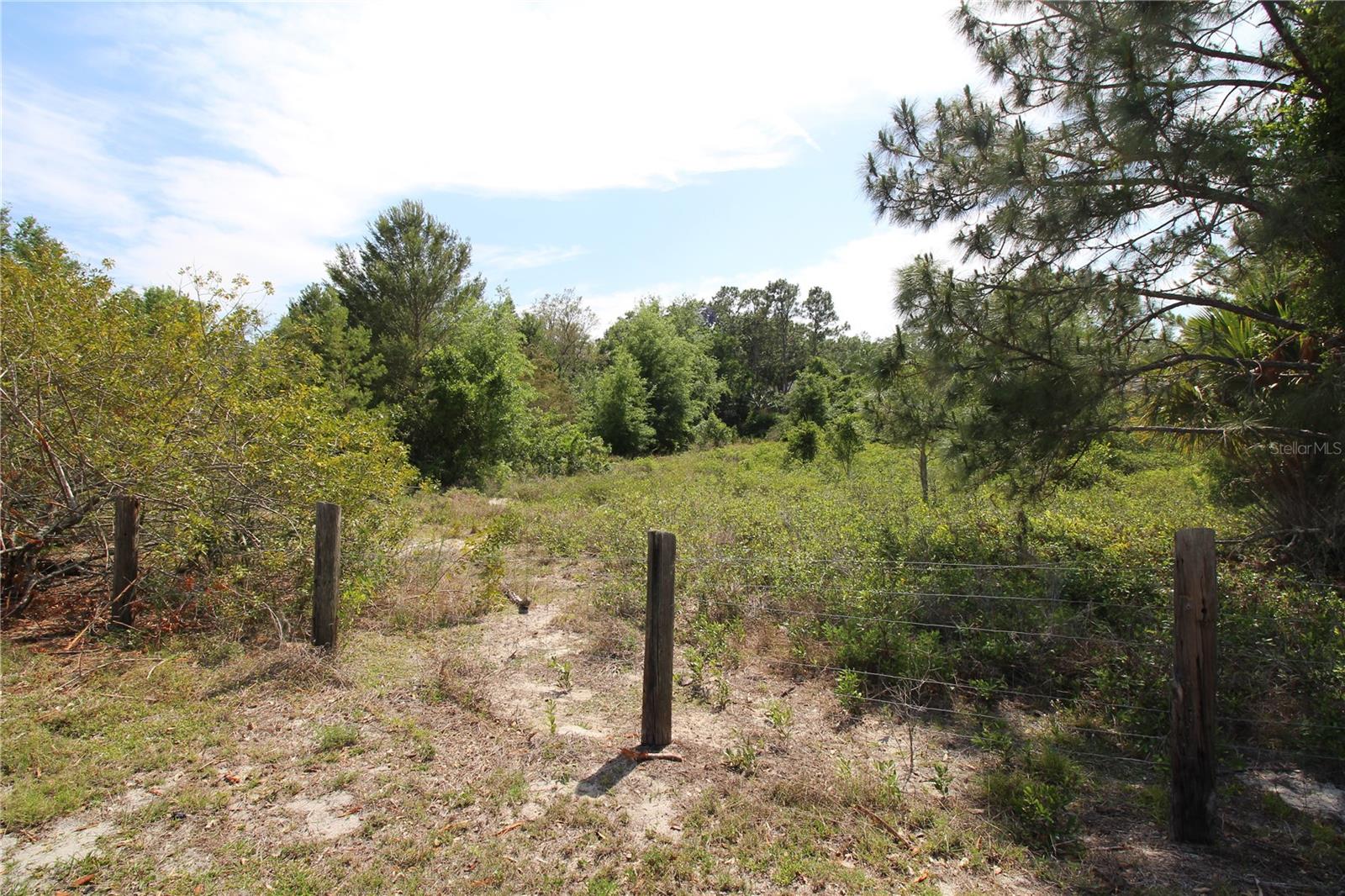 Image 13 of 23 For Old East Lake