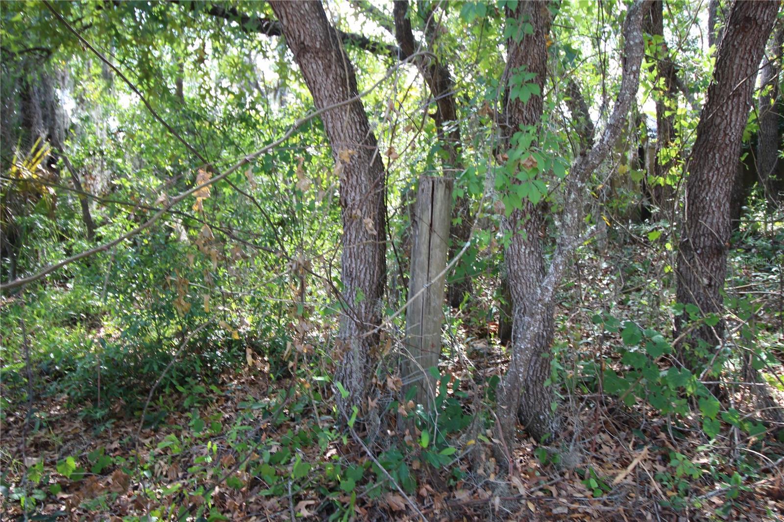 Image 20 of 23 For Old East Lake
