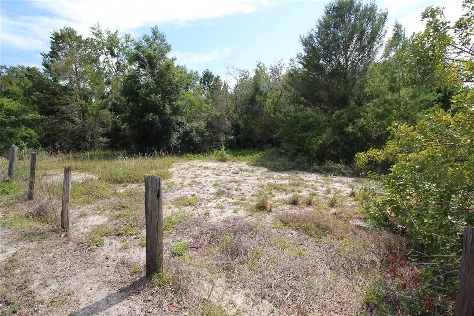Image 6 of 23 For Old East Lake