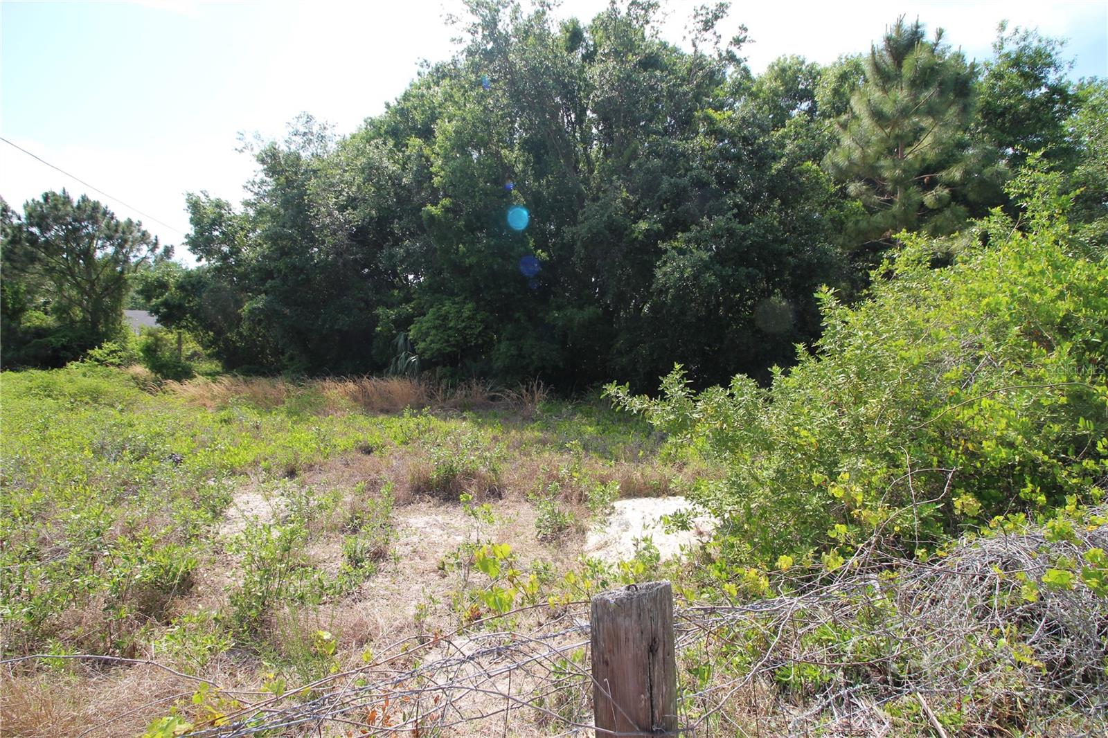 Image 7 of 23 For Old East Lake