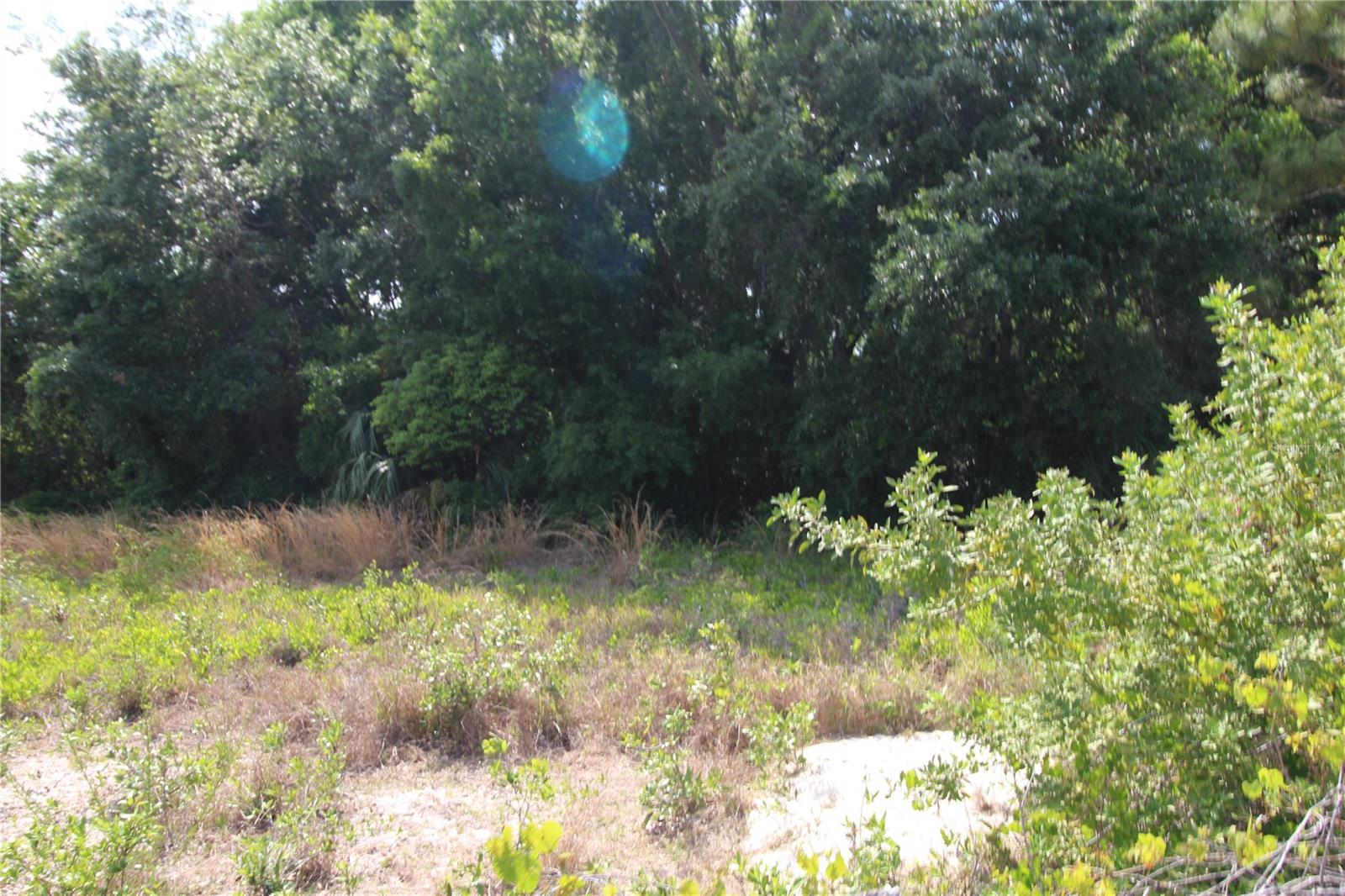 Image 8 of 23 For Old East Lake