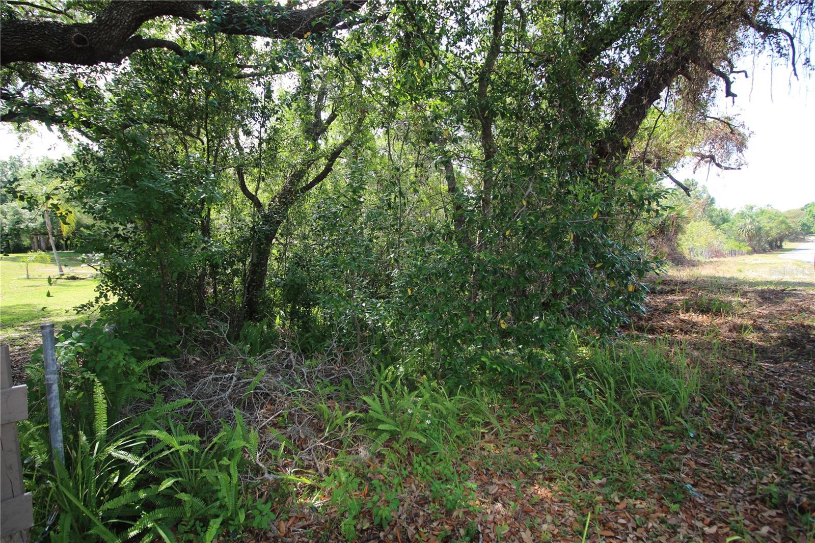 Image 9 of 23 For Old East Lake