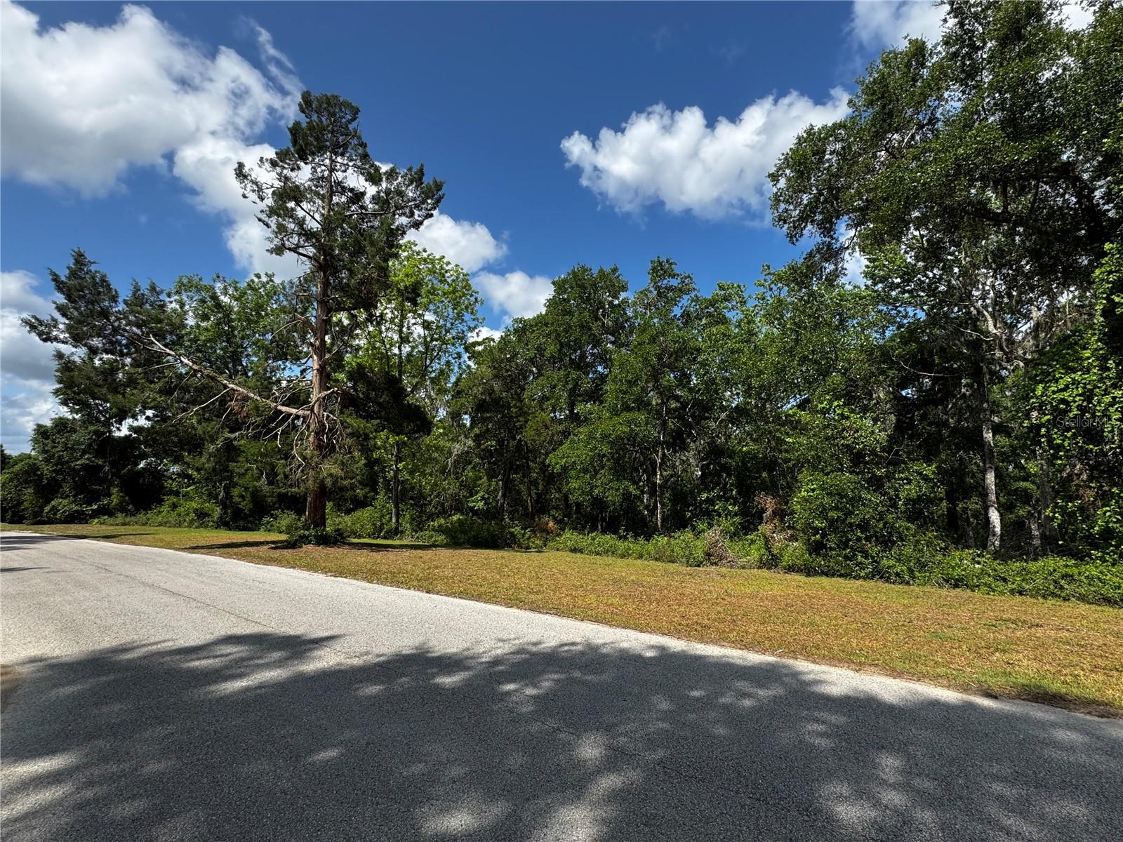 Details for 1103 Savannah Oaks Drive, BROOKSVILLE, FL 34602