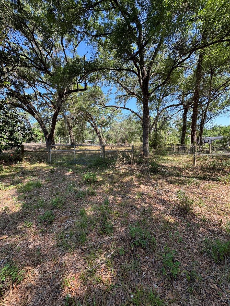 Image 7 of 24 For 4266 County Road 691