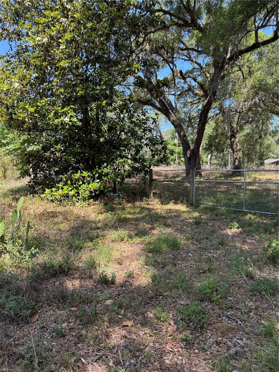 Image 9 of 24 For 4266 County Road 691