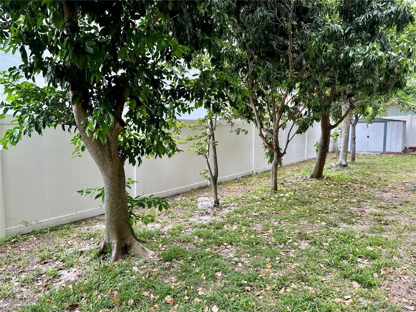 Image 36 of 46 For 2820 Pankaw Lane