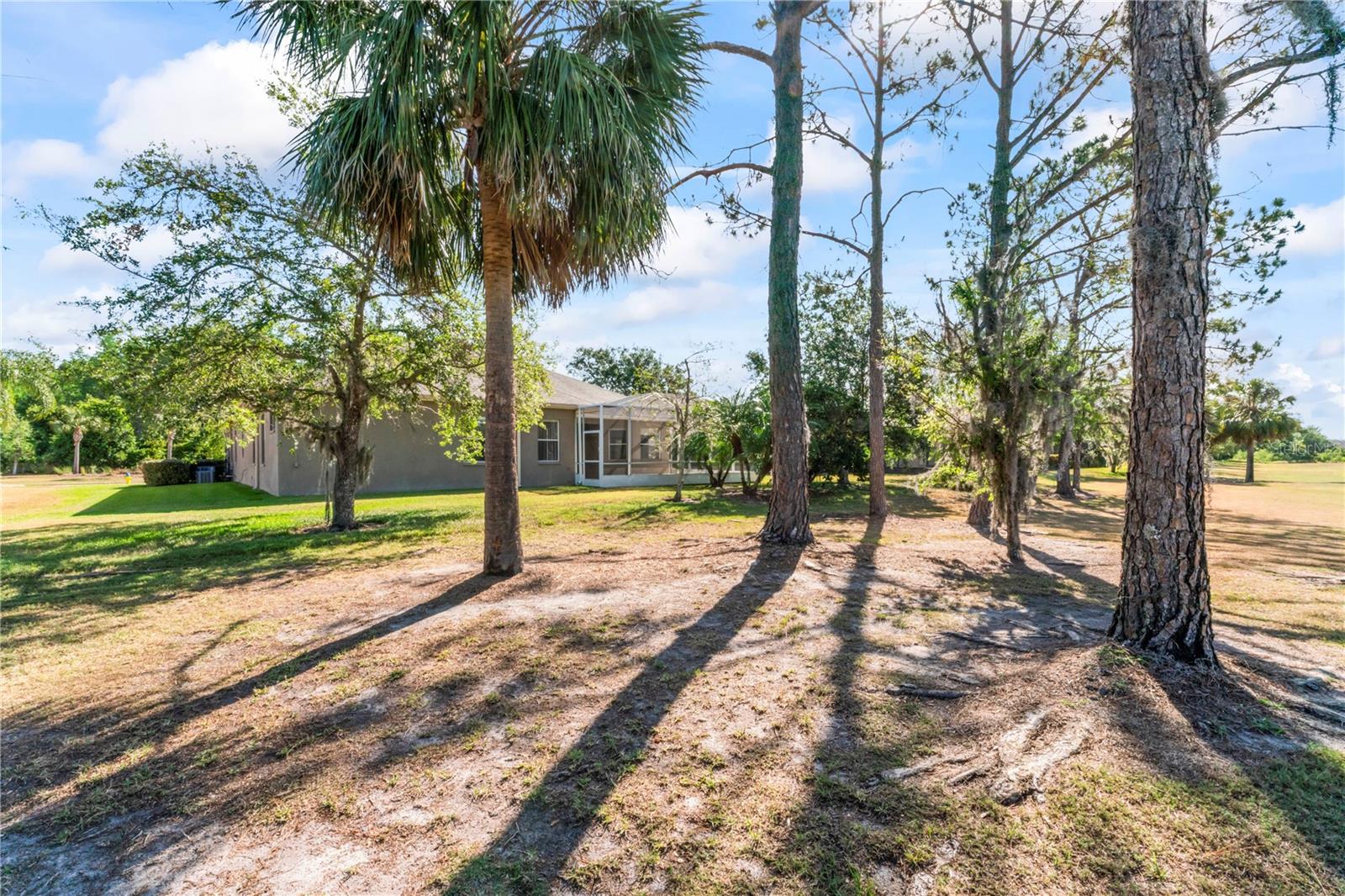 Image 54 of 100 For 10517 Palm Cove Avenue