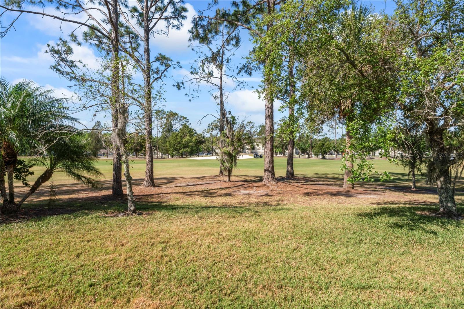 Image 55 of 100 For 10517 Palm Cove Avenue