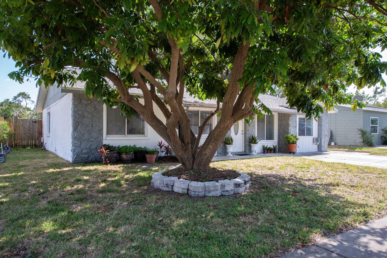 Image 2 of 46 For 9118 108th Avenue