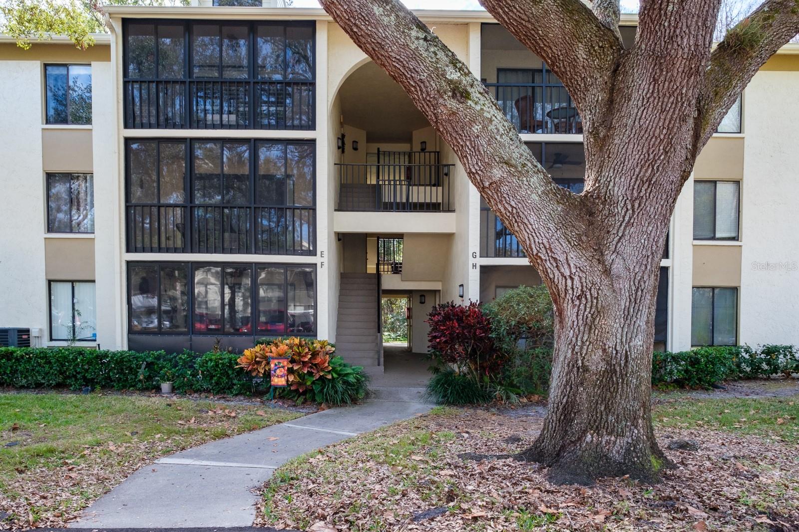 Details for 1398 Shady Pine Way E3, TARPON SPRINGS, FL 34688